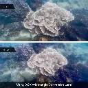 WechatIMG2108.webp
