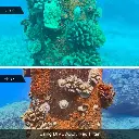 WechatIMG238.webp