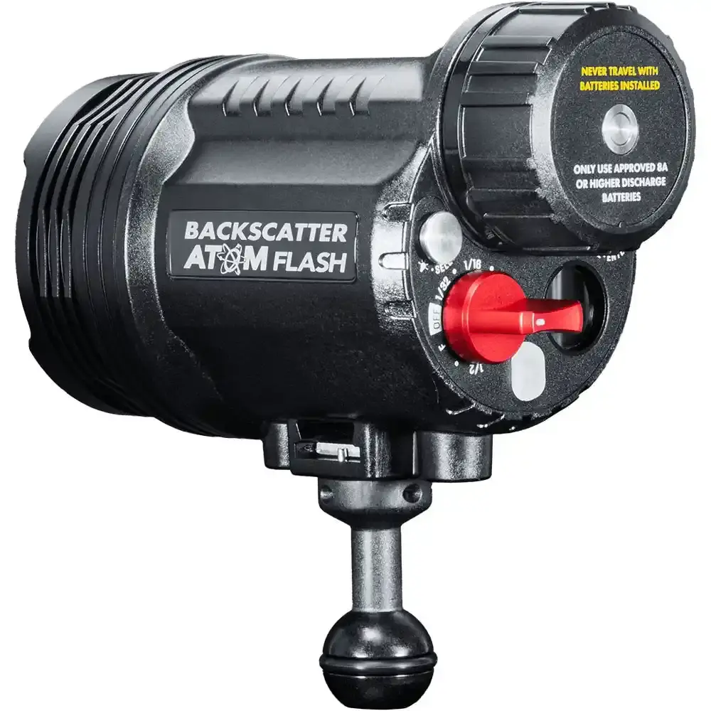 atom_strobe_18.webp