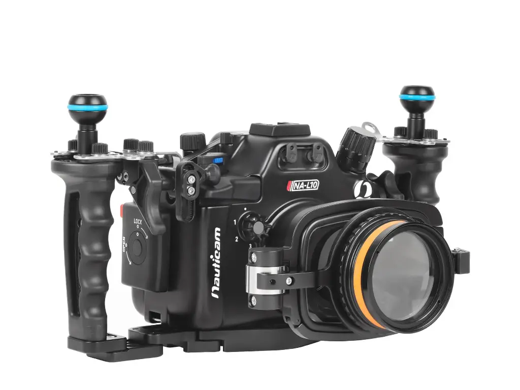9.webp