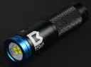 Bigblue Black Molly VIIB