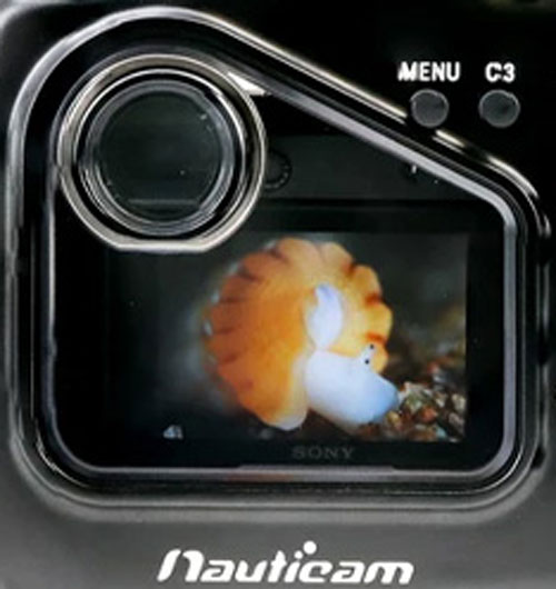 Nauticam NA-EM5 LCD Polycarbonate Window